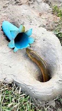 The guy show AMAZING Smart and Useful in Forest #bushcraft #survival #Outdoors #skills #fishing