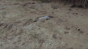 Climate change is a global concern. People have been suffering in various capacities—farmers are unable to grow vegetables due to unpredictable weather while others have lost their lives due to natural disasters. Through this film, we want to make people aware of their habits and help maintain climate sustainability. | British Council Nepal