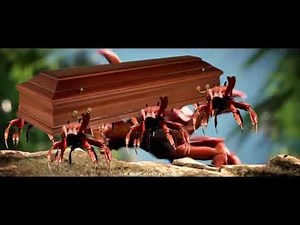 🦀⚰️ Astronomia (Coffin Dance) but its Crab Rave [10 Hours]