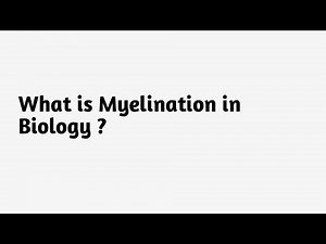 What is Myelination in Biology ?