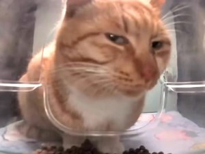 173K views · 6.4K reactions | Nyc đăng ảnh chụp chung với nym xong để bài nhạc này | 홀홧홧홤홧 | Facebook