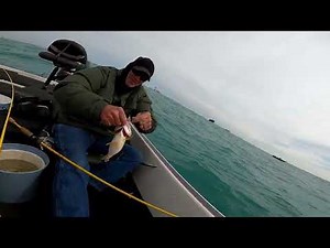 Perch Fishing in April