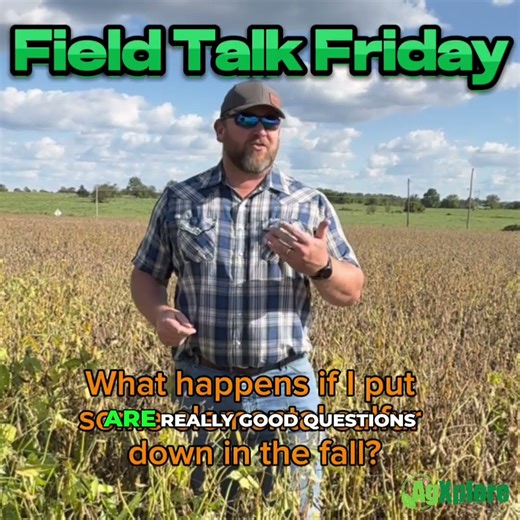 Why Sulfur Strategy Matters Now: Key Timing, Crop Needs, and Fall Application Considerations