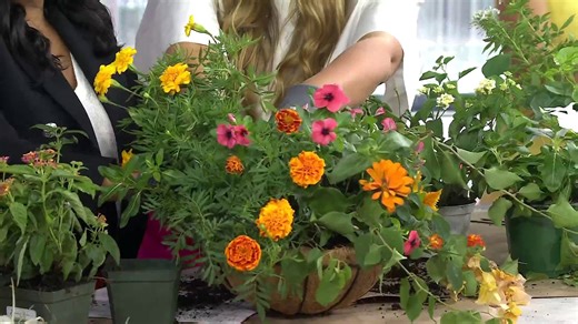 How to make an easy hanging planter that'll last all summer long