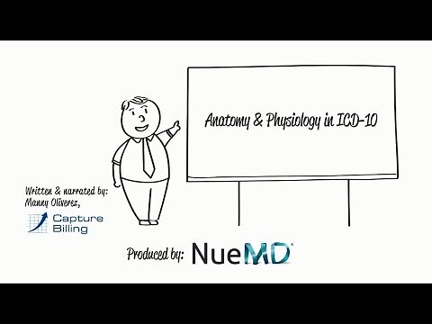 ICD-10 Basics: Anatomy & Physiology