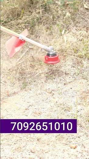 Best Brush Cutter for Clearing Weeds & Overgrown Grass – Power & Efficiency!