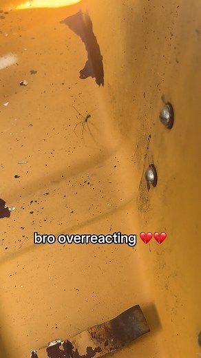 Understanding PMO and Its Meanings in Slang