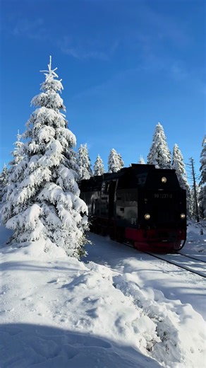 Experience Winter Wonderland in Harz Mountains 2025