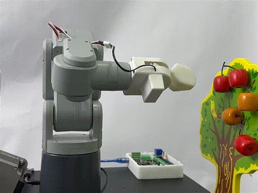 Automating Fruit Harvesting and Sorting: Educational Case