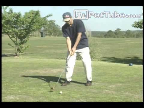 Funniest Pets & People: Episode 1- PetTube