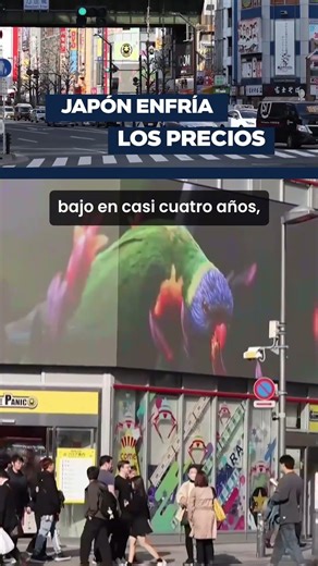 🚨📉 Japón frena la inflación | IPC cae a mínimos de años 💥🇯🇵