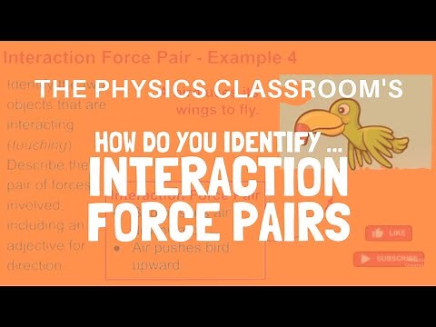 Interaction Force Pairs