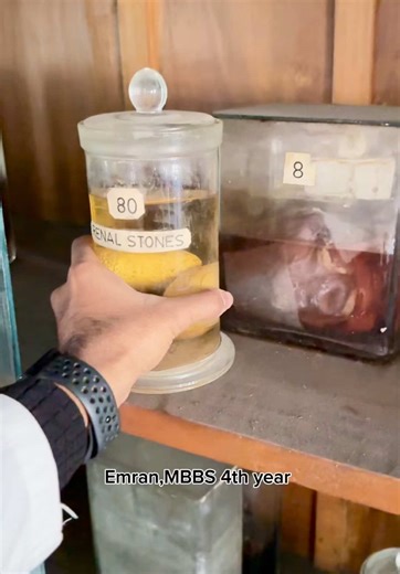 Emran , MBBS 4th year