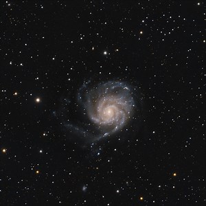 M101