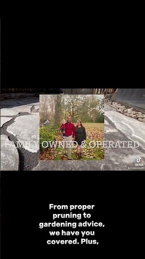 Jacksonville Fl LANDSCAPING Advanced Lawn & Garden