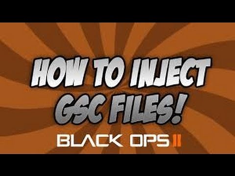 Black Ops 2 Tutorial - How To Inject GSC On The 1.19 Update - Faster & Easier!