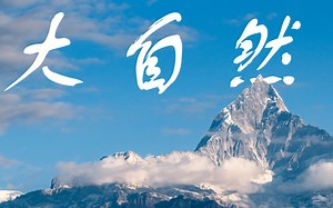 大自然 4K ~Pexels免费素材网~