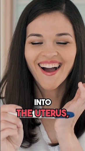 Biological Steps To Get Pregnant - Doctor Explains