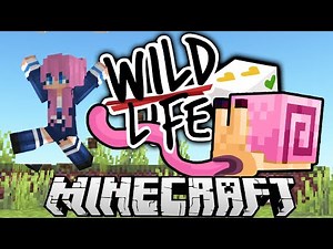 The Snail .....🐌 | Ep. 3 | Wild Life