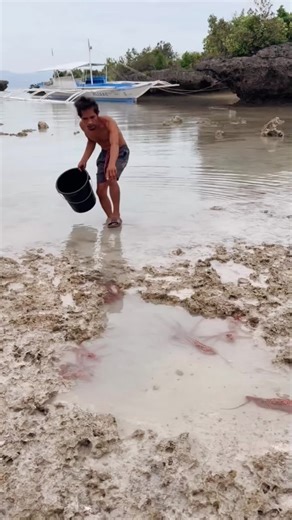 Exploring Octopus Hand Fishing Techniques