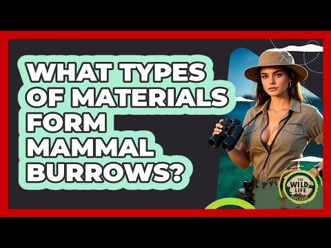 What Types Of Materials Form Mammal Burrows?