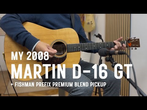 Martin D-16 GT (with Fishman Prefix Premium Blend)