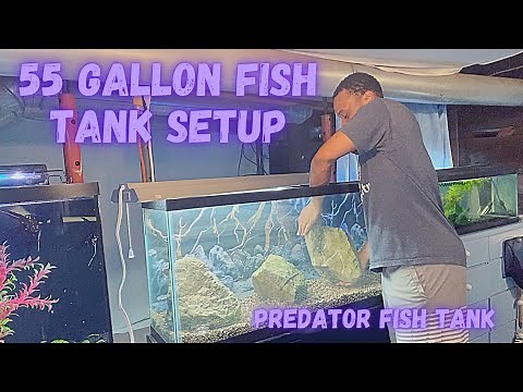 NEW 55 GALLON FISH TANK SETUP