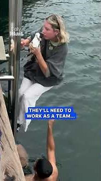 Hero jumps into the sea to rescue stranded seagull