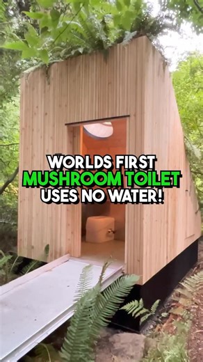 James Stewart on Instagram: "🍄🚽 The worlds first MUSHROOM powered toilet is here and it uses ZERO water! The ‘MyCoToilet’ as it’s known, turns human waste into nutrient-rich compost and features a modern, sustainable design! The mycelium breaks down the waste with microbes and so instead of being the problem; waste becomes the solution! What do you think of this?? Would you go to the loo on a mushroom toilet?! 📹 Credit: UBC Applied Science #mushroom #mushroomtoilet #mycelium #mycelialnetwork 