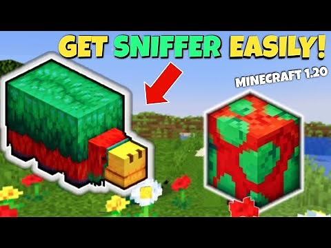 GET MINECRAFT SNIFFER Easily! Minecraft 1.20 Bedrock and Java! (How to get sniffer)