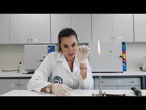 Preparation of a bacterial smear and heat fixation