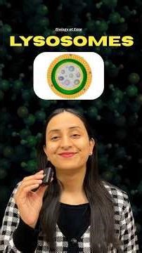 Lysosomes: Structure & Functions #shorts #neet #ytshorts #biology #class11 #youtubeshorts #neet #yt