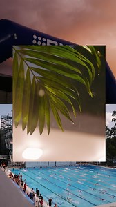 7K views · 50 reactions | It was rain, hail and shine in Brisbane last month ⛈️ ☀️ No matter what was thrown down from above, you guys showed up and backed it up… for all 26 racing sessions at the 2025 Australian Age & Open Champs 念 See you in Adelaide for the Australian Swimming Trials next month  Tickets available from Ticketek. Sleeman Sports Complex | 9Now | Swimming Australia | Facebook