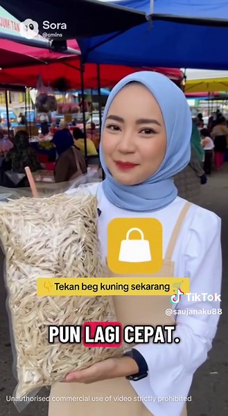 Discover the Best Ikan Bilis Variants for Your Meals