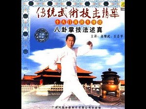 Application of Baguazhang of the Gao family