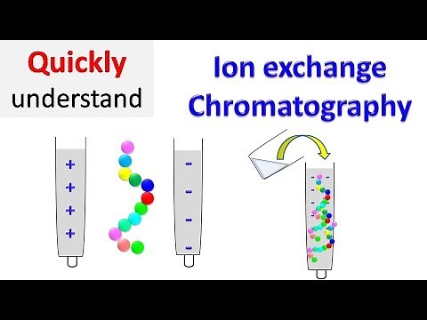 Ion exchange chromatography