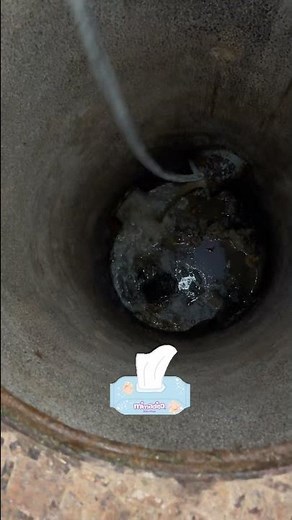 DIY Solutions for Clogged Pipes