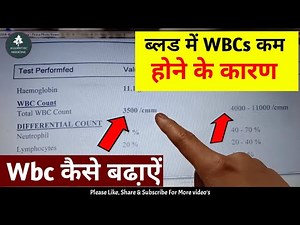 रक्त परीक्षण में कम WBCs की संख्या | कम WBCs के कारण, लक्षण और उपचार | WBCs कैसे बढ़ाएँ