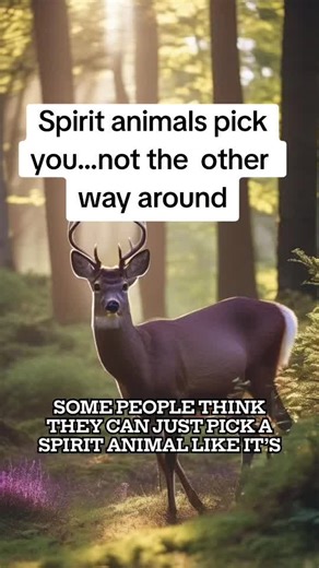 Native Tribal Echoes & Legacy on TikTok