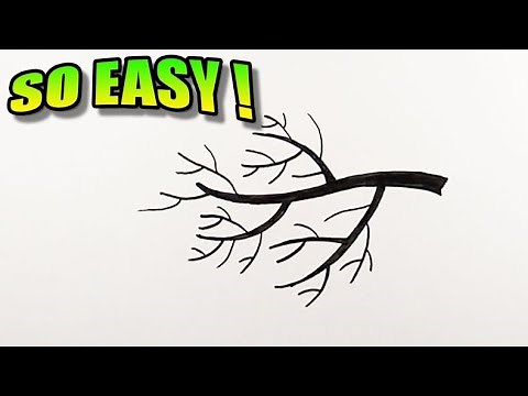 How to draw tree branches step by step | Easy Drawings | Branch Drawing