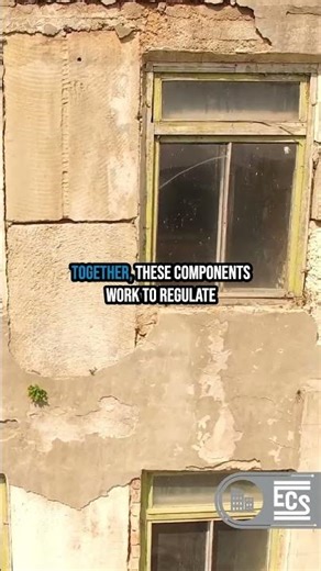 Building Enclosures: More Than Meets the Eye