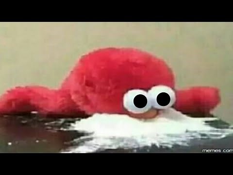 memes that elmo likes