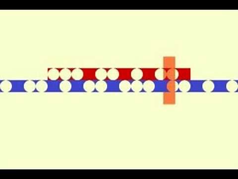 Clapping Music - Animation