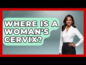 Where Is A Woman's Cervix? - Women's Health and Harmony