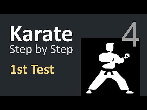 Karate Beginner Tutorials 4 | First API Test