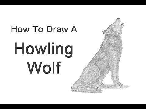How to Draw a Wolf Howling