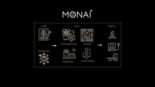 Open-Source Healthcare AI Innovation Continues to Expand with MONAI v1.0 | NVIDIA Technical Blog