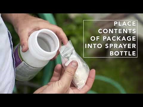 How to Use Nematodes to Control Lawn Grubs