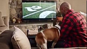 Root for your team on a full stomach & experience Pizza Royalty all at once! | Round Table Pizza