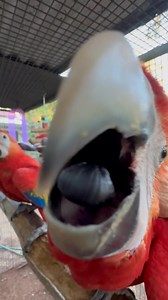 20K views · 2.1K reactions | There is something ‘special’ about...